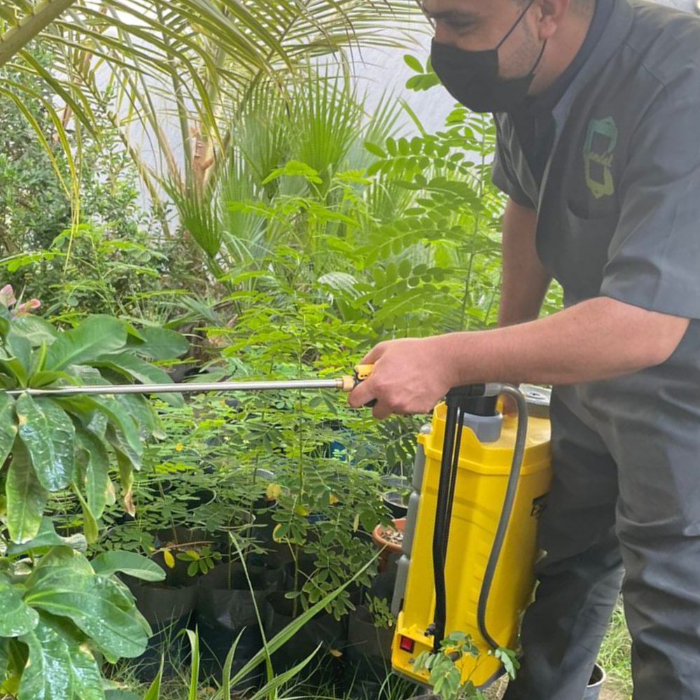 قبل وبعد — كنب